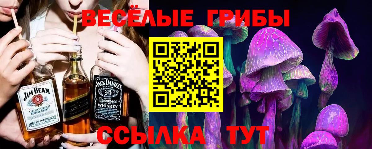 Псилоцибиновые грибы Magic Shrooms Электросталь