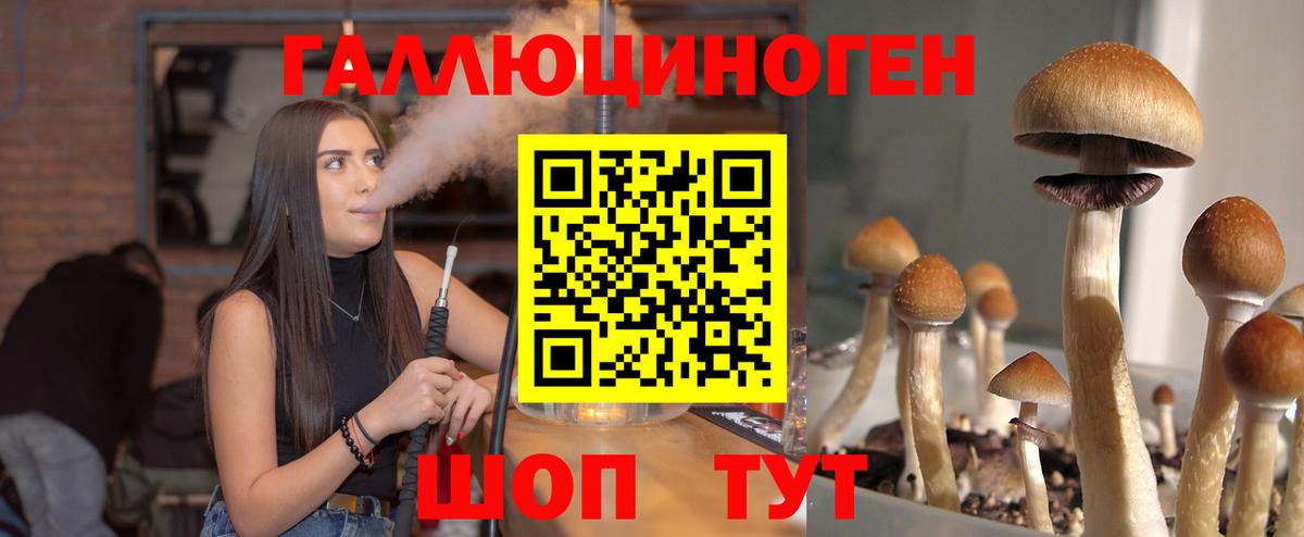 Электросталь  Псилоцибиновые грибы Psilocybine cubensis  Вход с VPN 